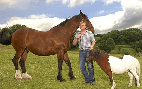 Martin Clunes                                                                   